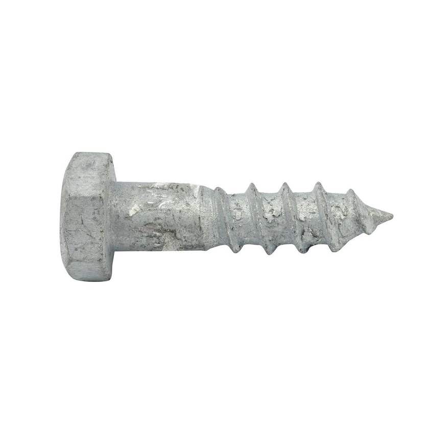 Zenith Galvanised Coach Screw M12 x 65mm